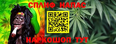 гашик Малгобек