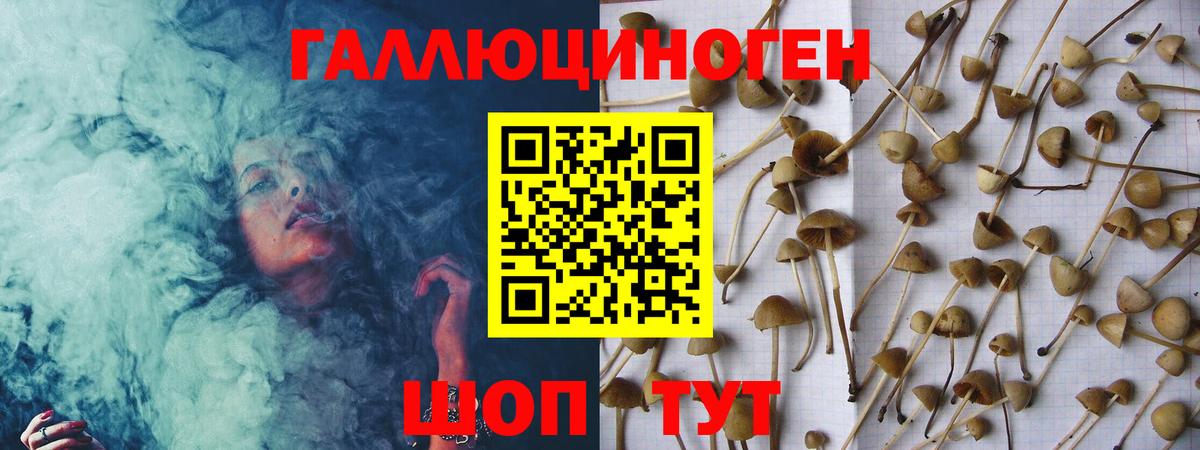 Галлюциногенные грибы ЛСД  Вход с VPN  Галлюциногенные грибы GOLDEN TEACHER  Чехов 